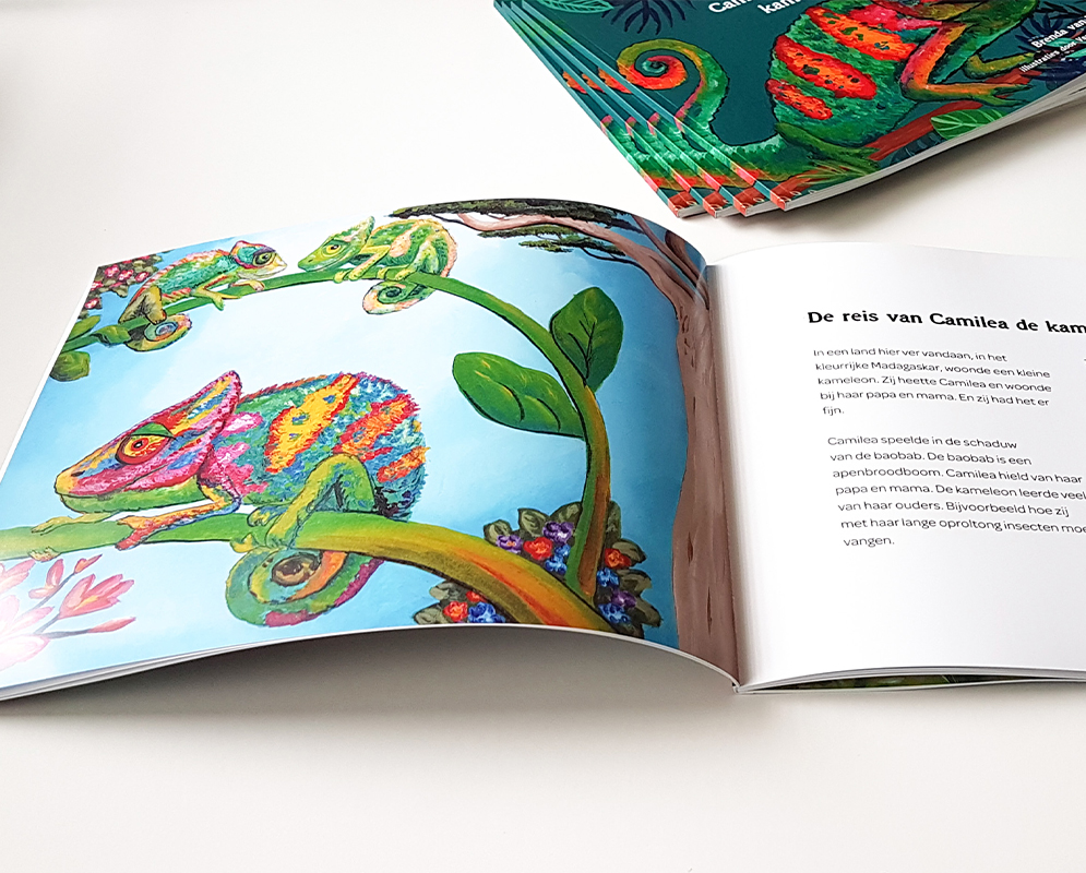 Voorbeeld prentenboek